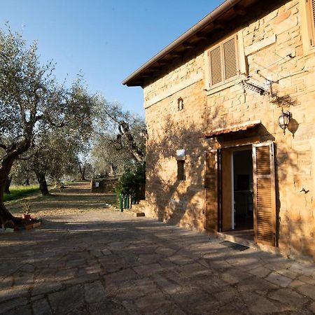 Casetta Maduneta Immersa In Un Oliveto Дольчеаккуа Экстерьер фото