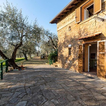 Casetta Maduneta Immersa In Un Oliveto Дольчеаккуа Экстерьер фото