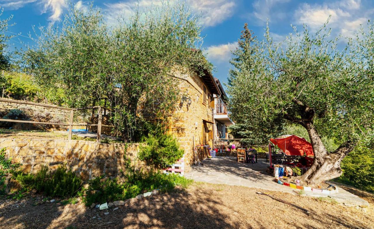 Casetta Maduneta Immersa In Un Oliveto Дольчеаккуа Экстерьер фото