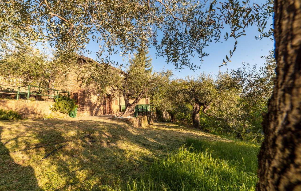 Casetta Maduneta Immersa In Un Oliveto Дольчеаккуа Экстерьер фото